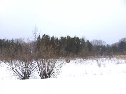 Wildcat Court, Alpena, MI 49707