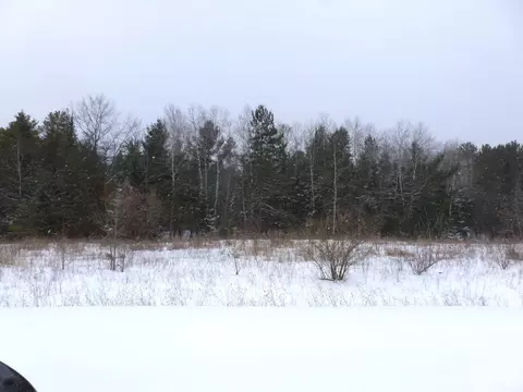 Wildcat Court, Alpena, MI 49707