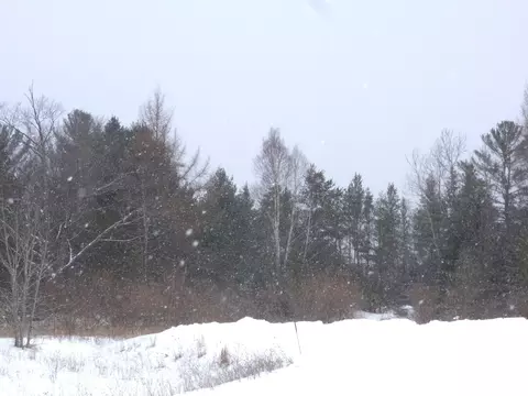 Wildcat Court, Alpena, MI 49707