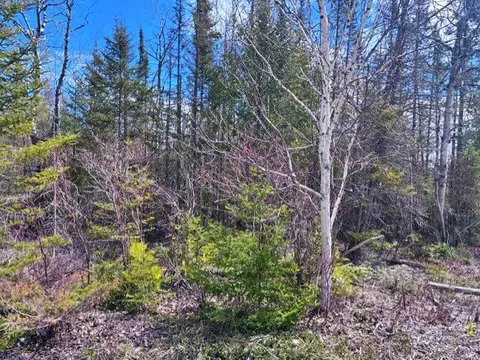 lot338 County Rd 638, Presque Isle, MI 49777