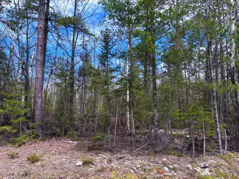 lot241 Kauffman Rd, Presque Isle, MI 49777