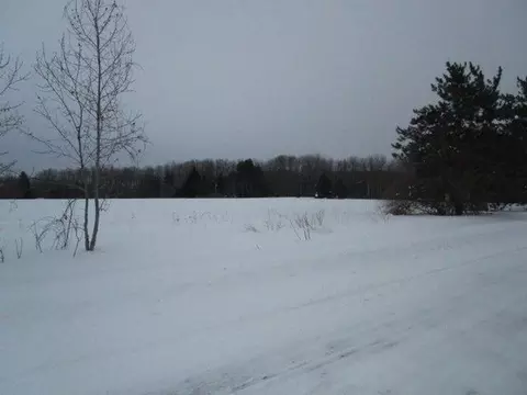 Mcmichael Road, Alanson, MI 49706 photo 3