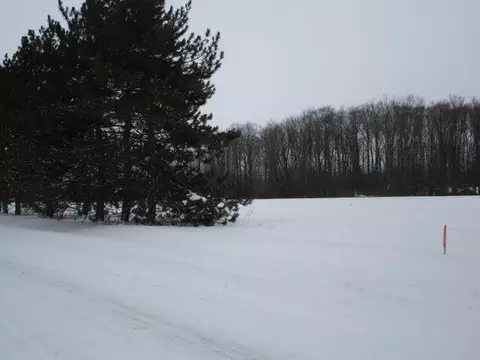Mcmichael Road, Alanson, MI 49706