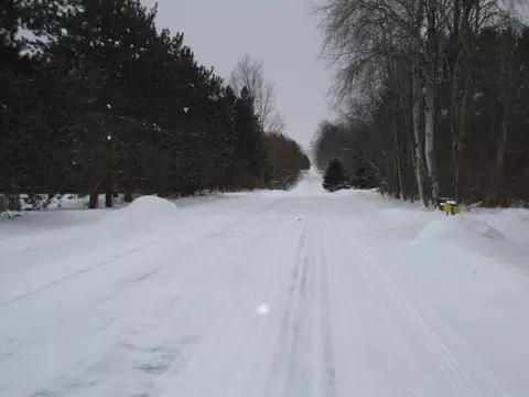 Mcmichael Road, Alanson, MI 49706 photo 4