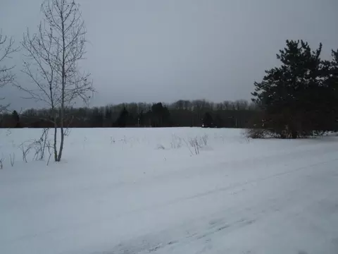 Mcmichael Road, Alanson, MI 49706 photo 3