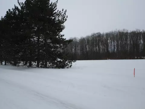 Mcmichael Road, Alanson, MI 49706
