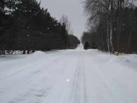 Mcmichael Road, Alanson, MI 49706 photo 4