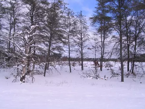 2 North Down River Road, Grayling, MI 49738 photo 4