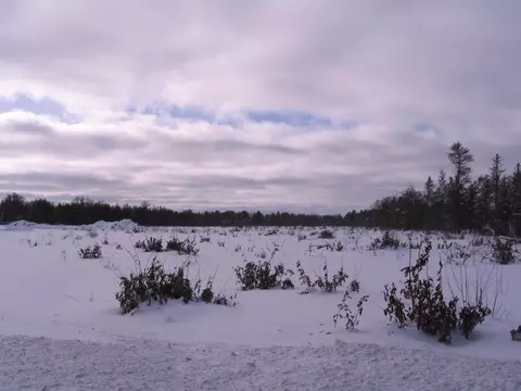 2 North Down River Road, Grayling, MI 49738 photo 2