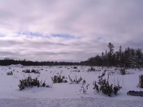 2 North Down River Road, Grayling, MI 49738 photo 7