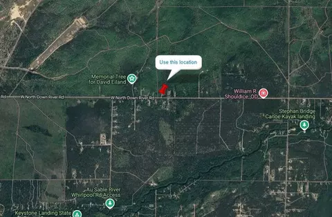 2 North Down River Road, Grayling, MI 49738 photo 3