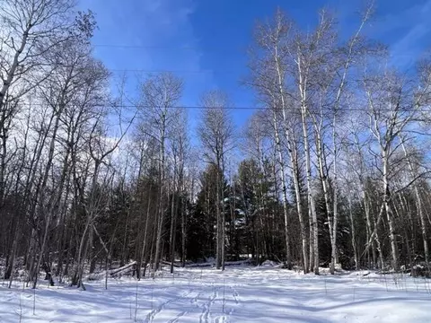 15262 Valley Dr #LOT 17, Wolverine, MI 49799 photo 4