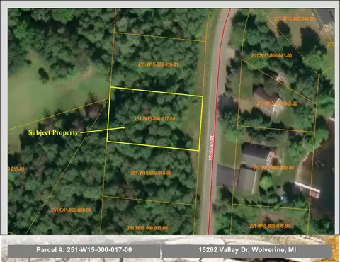 15262 Valley Dr #LOT 17, Wolverine, MI 49799