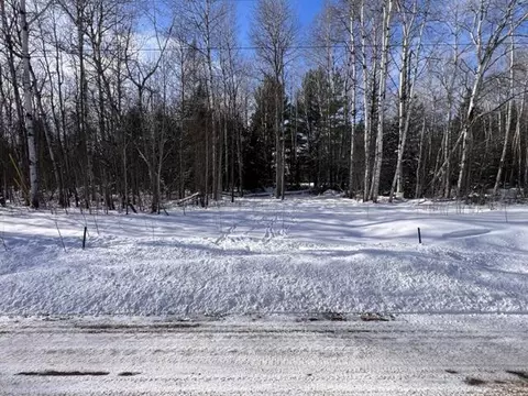 15262 Valley Dr #LOT 17, Wolverine, MI 49799 photo 3