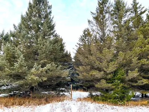 Other - 7148 W Dotski Rd, Cheboygan, MI 49721 photo 12 of 13