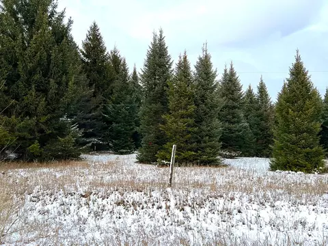 Other - 7148 W Dotski Rd, Cheboygan, MI 49721 photo 10 of 13