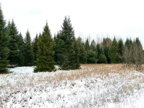 Other - 7148 W Dotski Rd, Cheboygan, MI 49721 photo 11 of 13