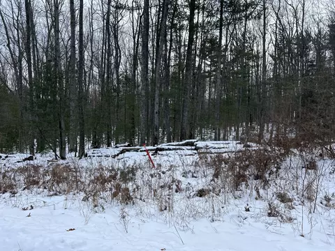 551 Robin Hood Dr, Hubbard Lake, MI 49747