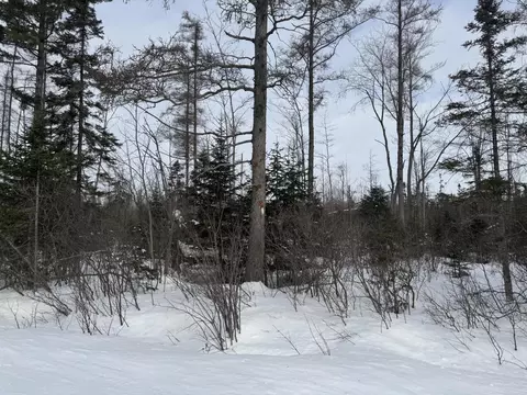 30 West 13 Mile Road #30 ACRES, Dafter, MI 49724