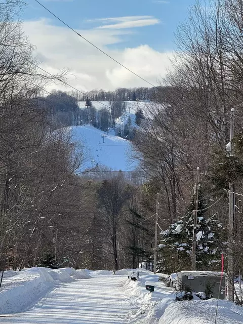 226 Wild Cherry Lane Harbor Springs Mi 49740 Ln, Harbor Springs, MI 49740