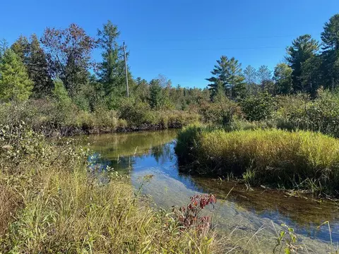 lot8 Red Bridge Rd, Atlanta, MI 49709