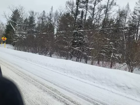 Vl Eagle Point Road, Grayling, MI 49738 photo 4