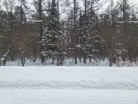 Vl Eagle Point Road, Grayling, MI 49738