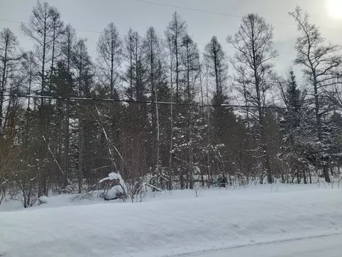 Vl Eagle Point Road, Grayling, MI 49738 photo 3