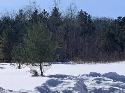 2368 M-65 Lachine Mi 49753, Lachine, MI 49753 photo 15