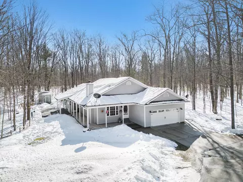 1095 Cook Rd, Indian River, MI 49749