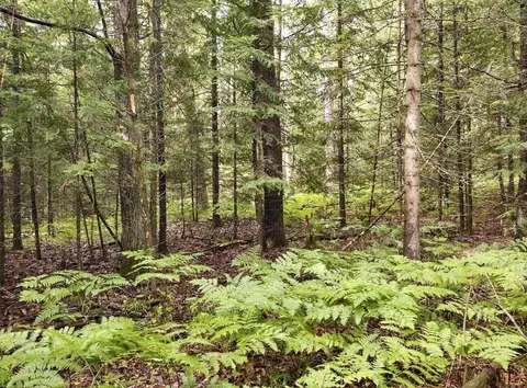 e shore drive LOT 101, Millersburg, MI 49759