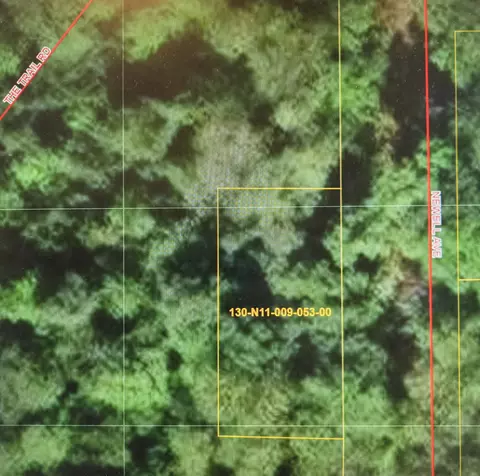 lot Apt 53 Newell Ave, Topinabee, MI 49791