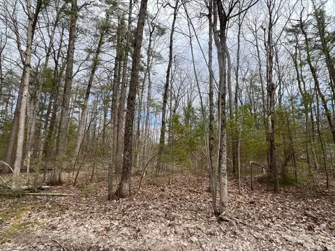 Chippewa Beach Road, Indian River, MI 49749