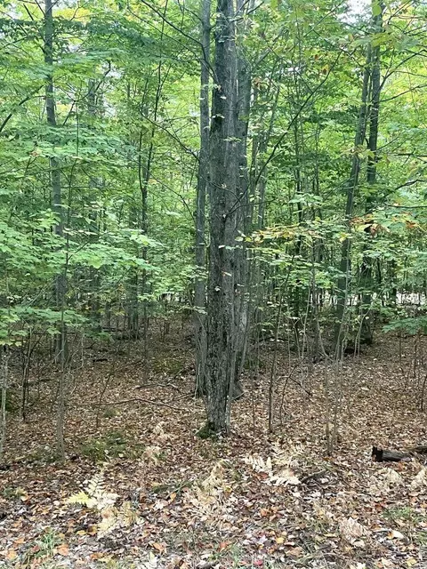 Ironwood Drive, Cheboygan, MI 49721