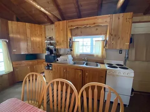407 Pine Lane Ln, Mio, MI 48647 photo 8