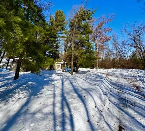 407 Pine Lane Ln, Mio, MI 48647 photo 16