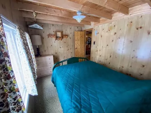 407 Pine Lane Ln, Mio, MI 48647 photo 9