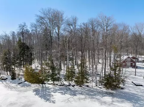 10448 W Munro Lake Dr, Levering, MI 49755