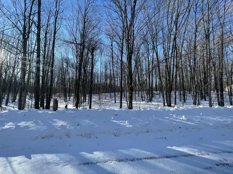 lot281 Acacia Dr, Mancelona, MI 49659