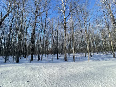 lot46 Louise Dr, Elmira, MI 49730