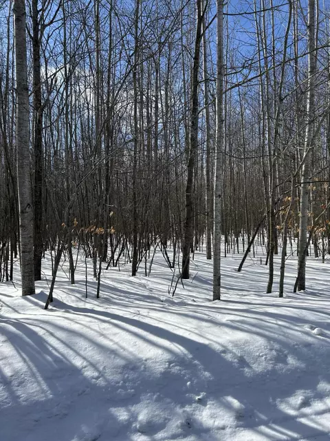Parcel ''E Woodmansee Road #''E'', Cheboygan, MI 49721