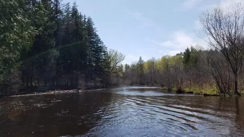 9399 Norsable Pines Trail Grayling Mi 49738 Trl, Grayling, MI 49738
