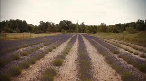 4118 Lance Lake Rd, Wolverine, MI 49799 photo 10