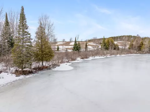 4118 Lance Lake Rd, Wolverine, MI 49799 photo 19