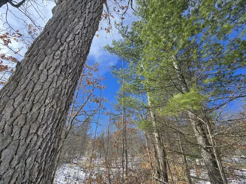 Other - 2281 Pearsall Rd, Fairview, MI 48621 photo 28 of 38