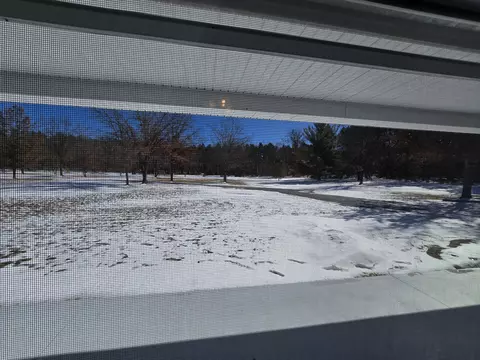 Other - 2281 Pearsall Rd, Fairview, MI 48621 photo 17 of 38