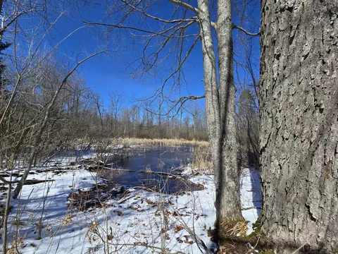 Other - 2281 Pearsall Rd, Fairview, MI 48621 photo 29 of 38