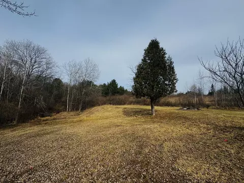 3991 Sage Lake Rd, Lupton, MI 48635