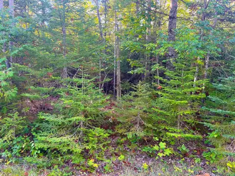 renwick circle LOT 66 & 67, Presque Isle, MI 49777