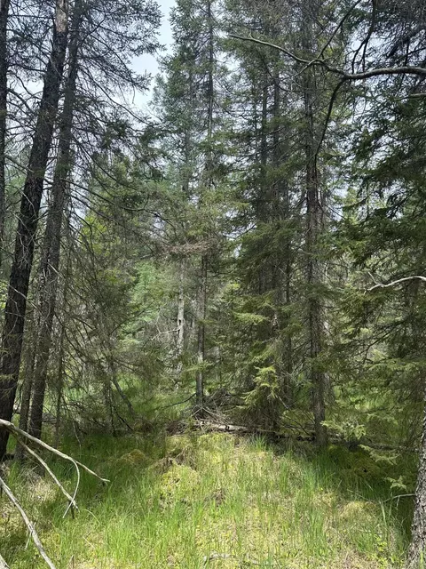 Other - 1197 N Mcmasters Bridge Rd, Grayling, MI 49738 photo 8 of 10